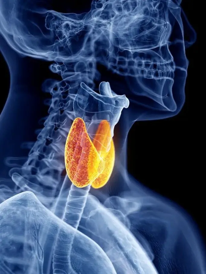 Outsource Endocrinology Billing Services