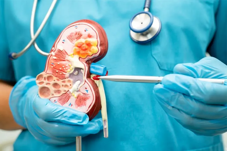 Nephrology Medical Billing